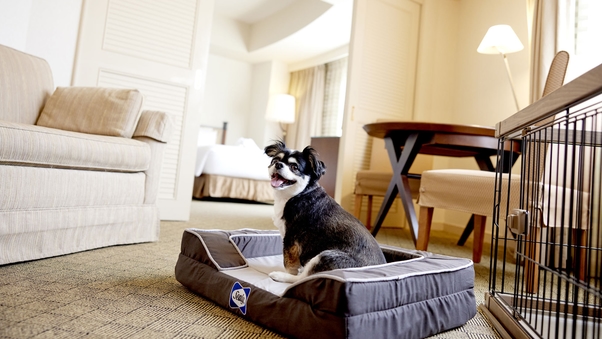 ドッグパノラマスイート(64平米・禁煙)